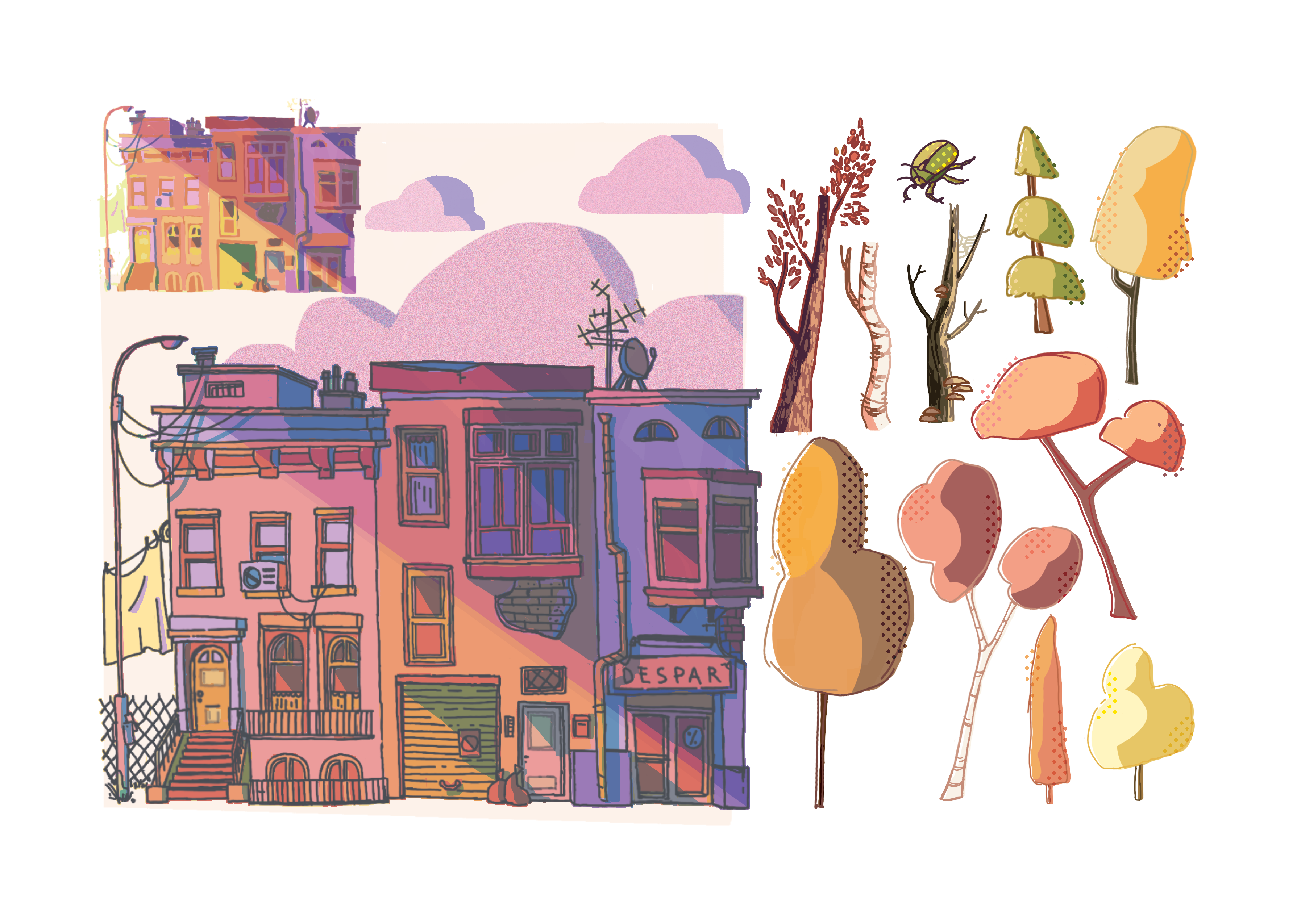Visual development